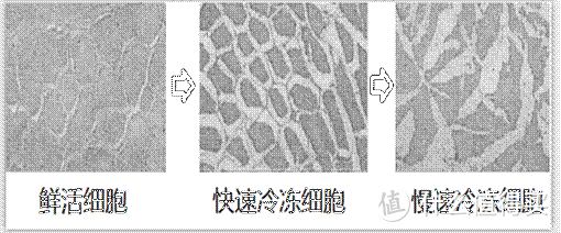 把家庭影院搬到冰箱上？云米互动大屏冰箱使用评测