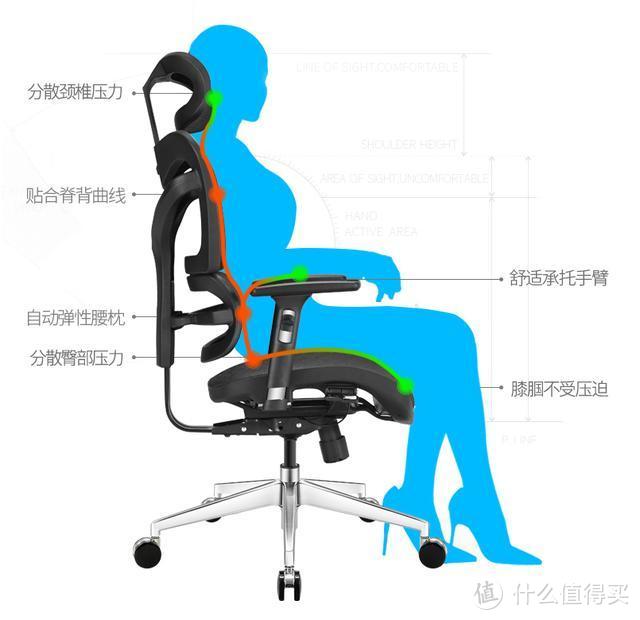 看了老罗推荐的人体工学椅我买了它——达宝利D1 人体工学椅 评测