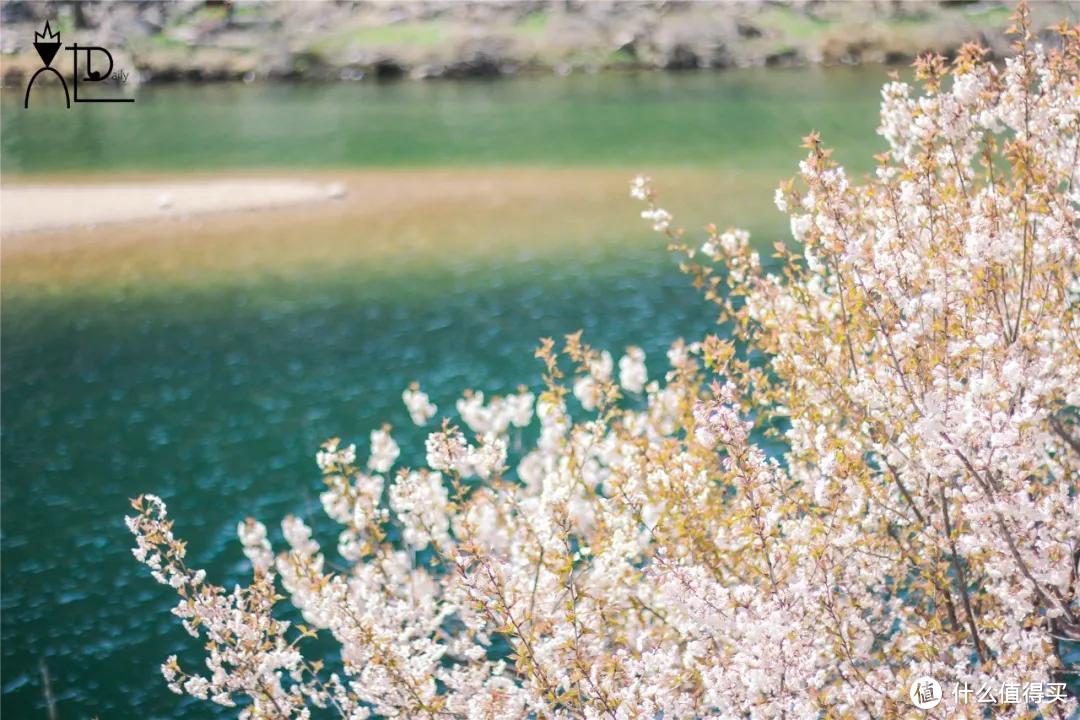 她圈测评|沙子口意大利？村中古堡？青岛九寨沟？网红拍照地实测第2弹来了！