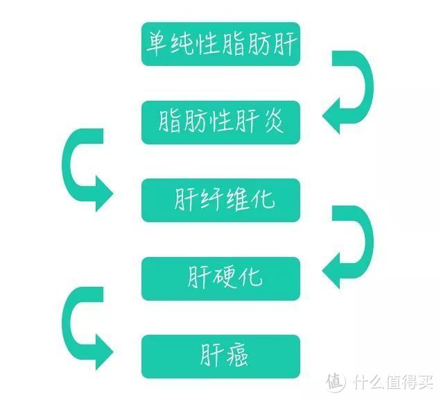 如何与脂肪肝和痛风说拜拜，从战战兢兢到淡定自若的经过（内含福利）