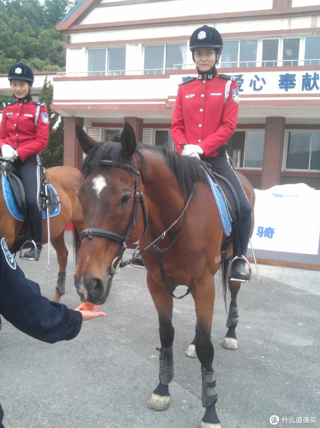 两个大男孩的快乐——大连女骑警基地一日游（大连最容易被忽视的旅游景点，有美丽的骑警小姐姐哦）