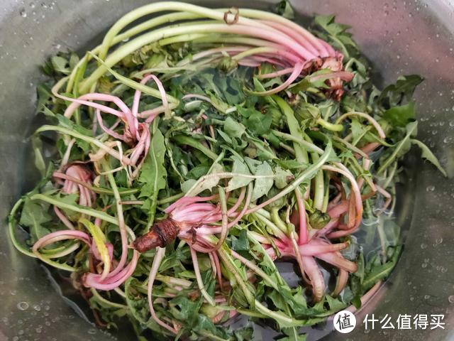 它是农村常见的野菜，吃了能降火，和鸡蛋一起炒，营养清火又美味