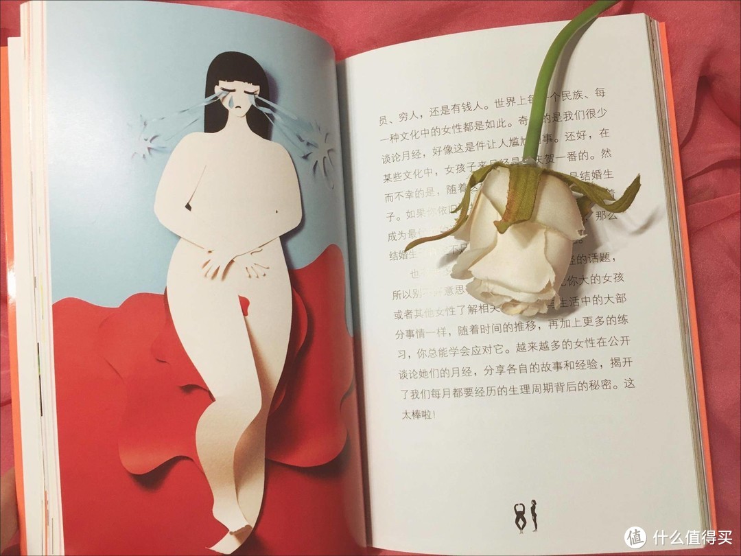 《女孩指南 动感青春期50课》~每个女孩都应该拥有的青春期宝典