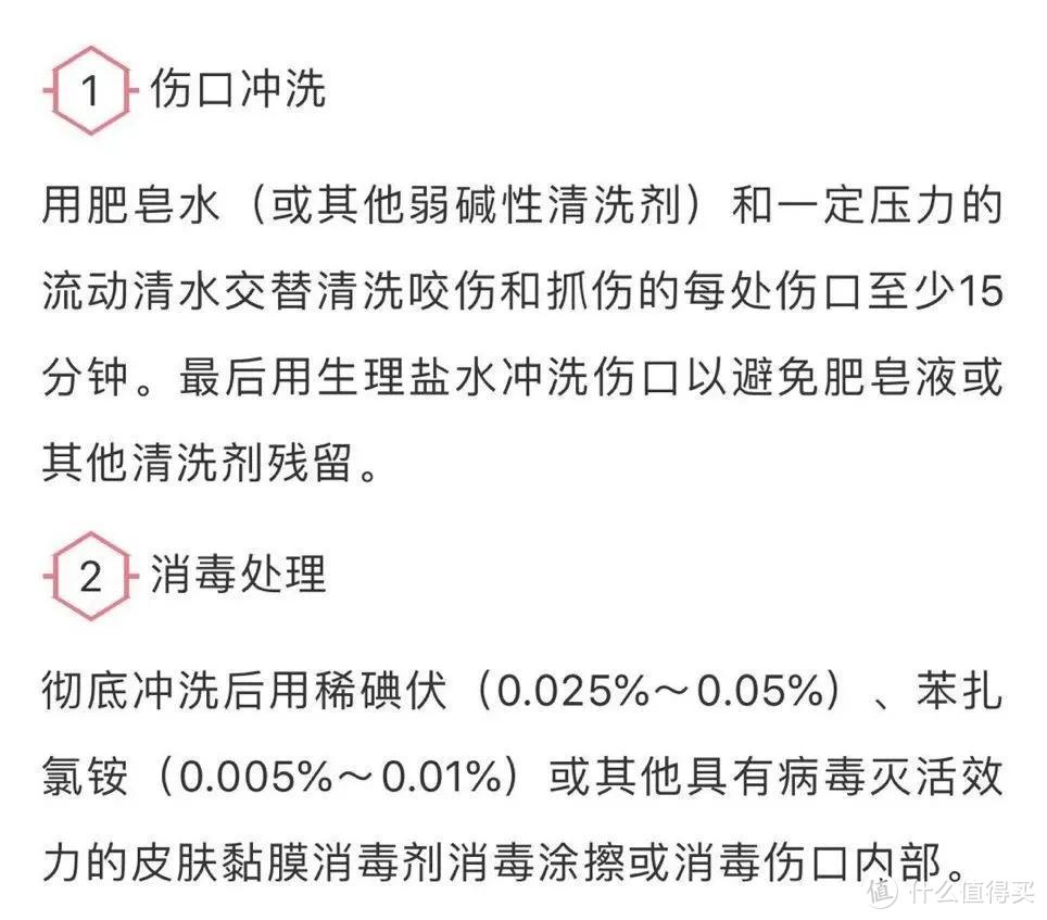 可爱柴犬和调皮熊孩子的对决 