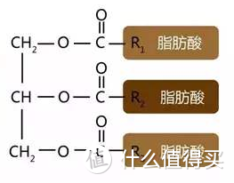 管住嘴迈开腿化解脂肪肝——四千字长文科普脂肪肝