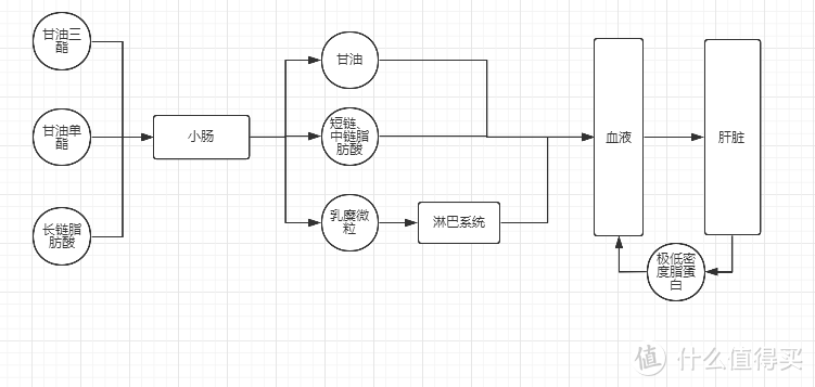 管住嘴迈开腿化解脂肪肝——四千字长文科普脂肪肝