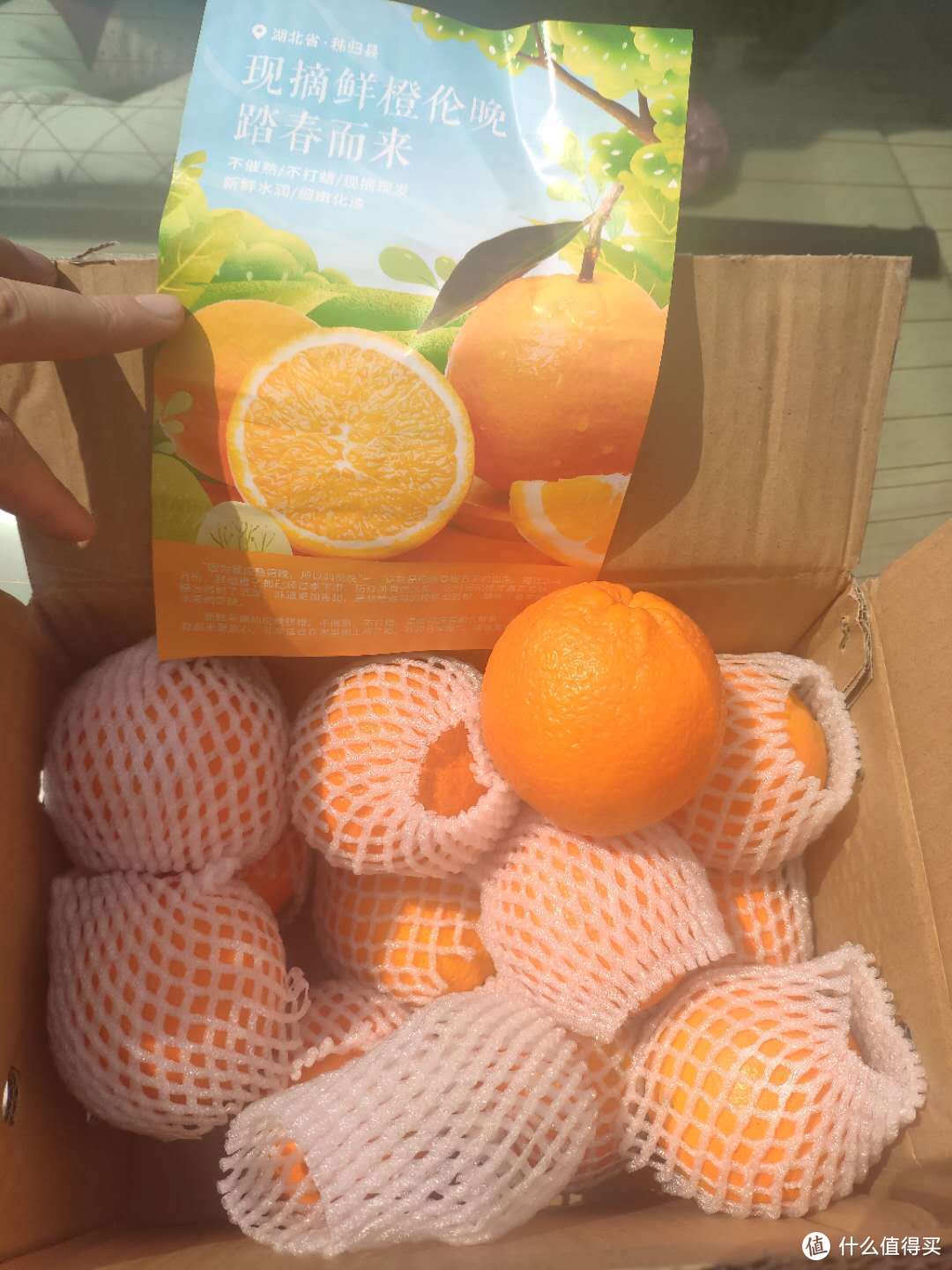 13个橙子，没有坏果