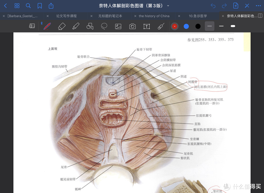 如何武装你的iPad Pro——医学生的apps分享 