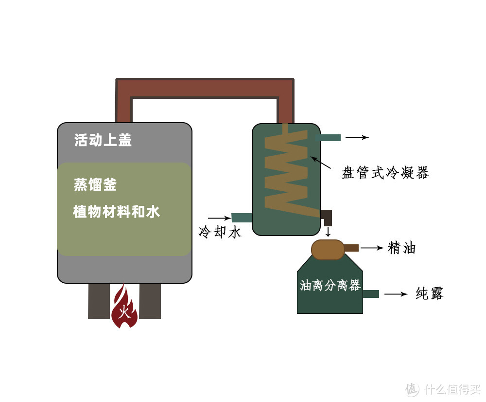 什么是芳疗级植物精油？精油香薰到底用哪种好？