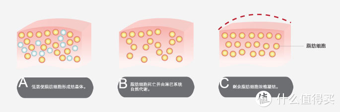 想减肥，没时间运动又不想节食，你可以选它！