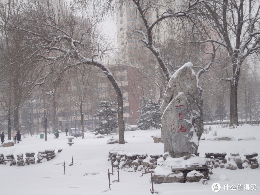 校园雪景