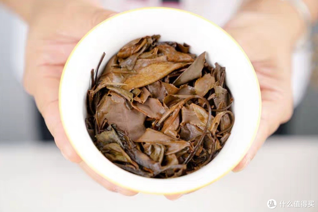 一篇关于白茶买茶、品茶的避坑指南