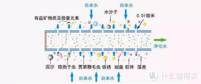 微滤与反渗透的对比 净水器你选爱惠浦or小米？