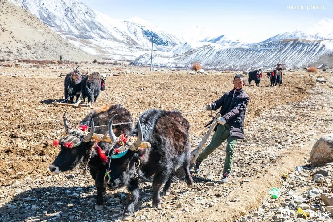 路上突遇暴风雪，汽车又爆胎，如何抵达西藏？往事2019（二）