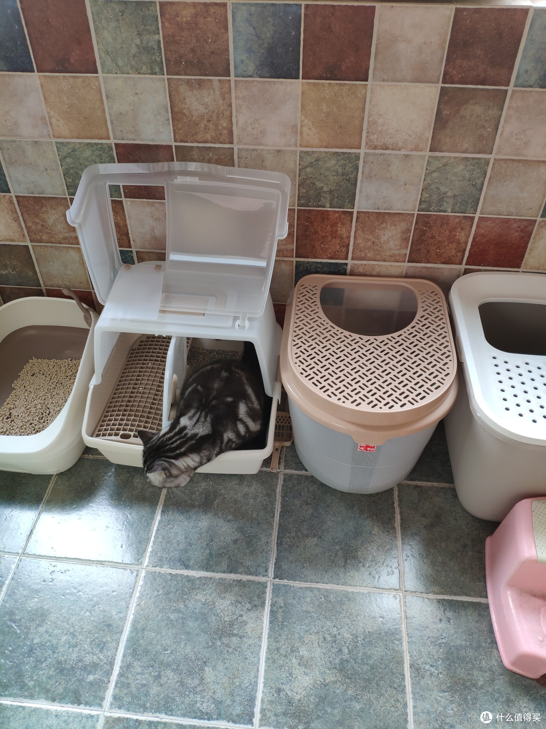 半个身子探出来才能上厕所，我试过把他骗进去盖上盖子，他吓得shi也不拉了直接退出来了