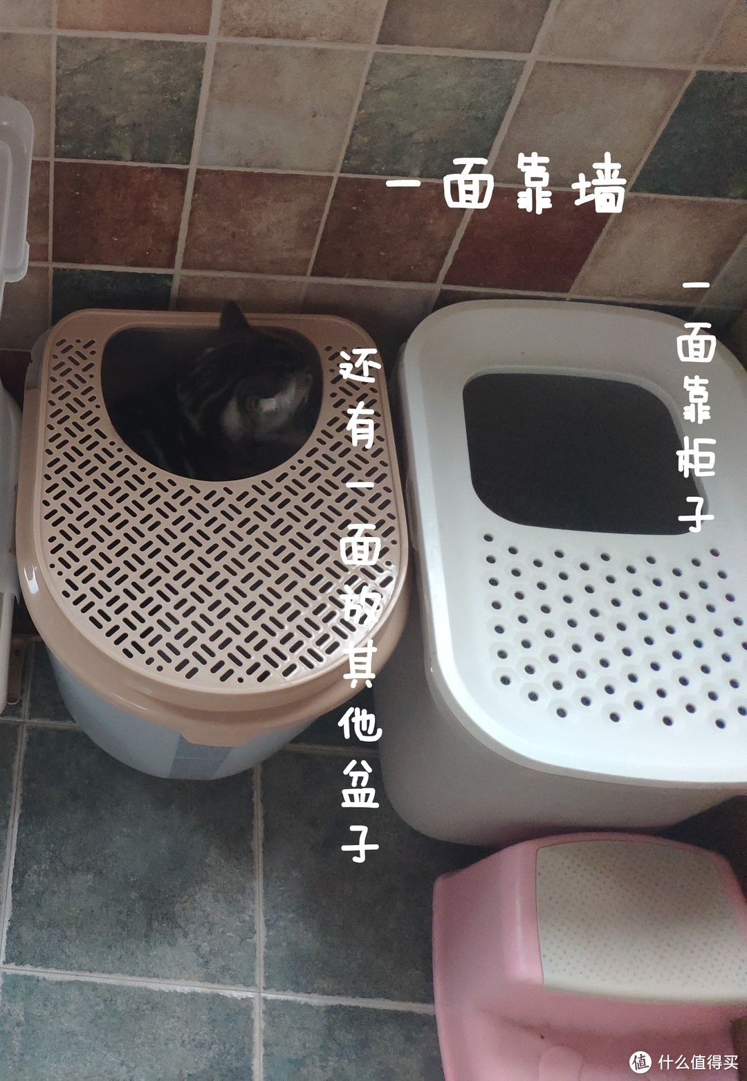 给猫设计合理的行动线，让他无路可走