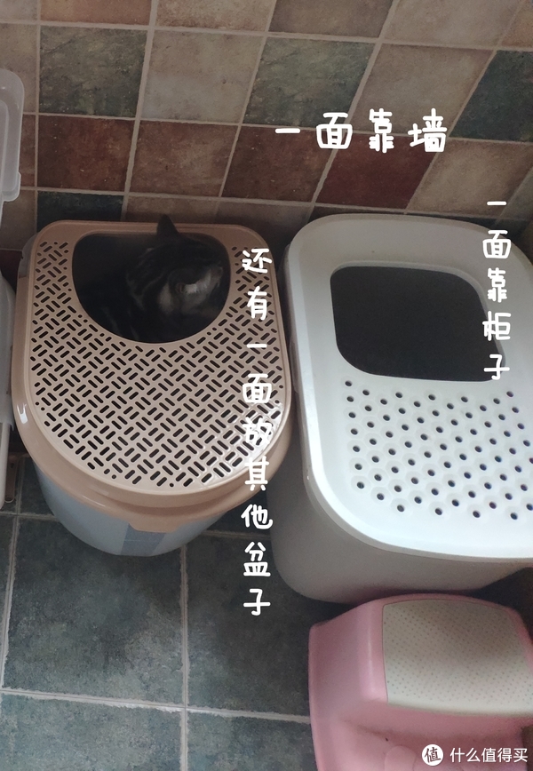 给猫设计合理的行动线，让他无路可走