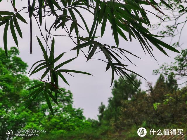 带着荣耀30 Pro去春游，美景尽收眼底