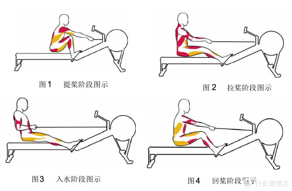 身材管理经验分享，小仙女们冲冲冲！麦瑞克水阻划船机的深度评测