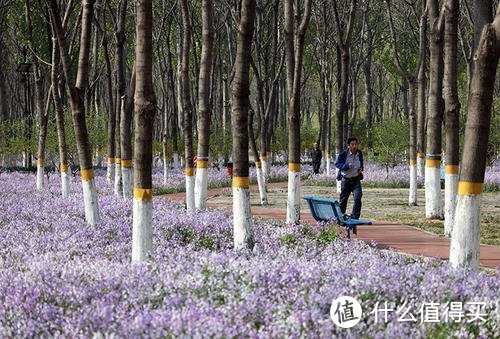 图片来源网络，侵删