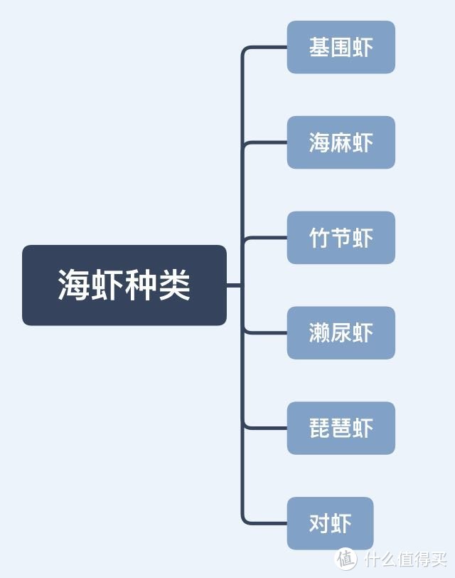 种草大会：海虾有哪些种类，应该怎么挑？