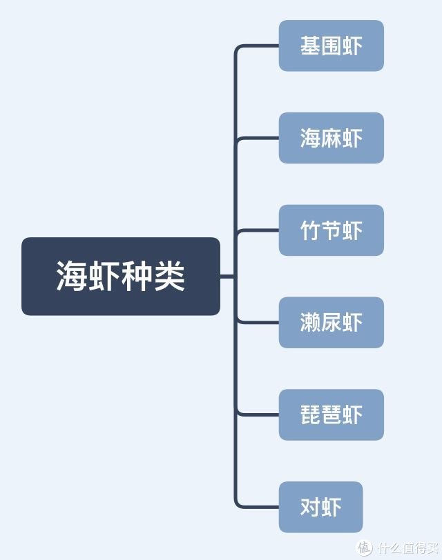 种草大会：海虾有哪些种类，应该怎么挑？