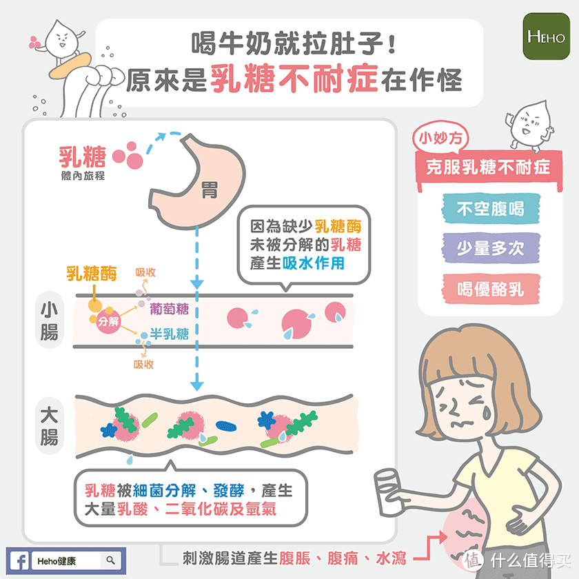 低卡低脂又饱腹的网红“奶”，会比牛奶更健康更营养吗？