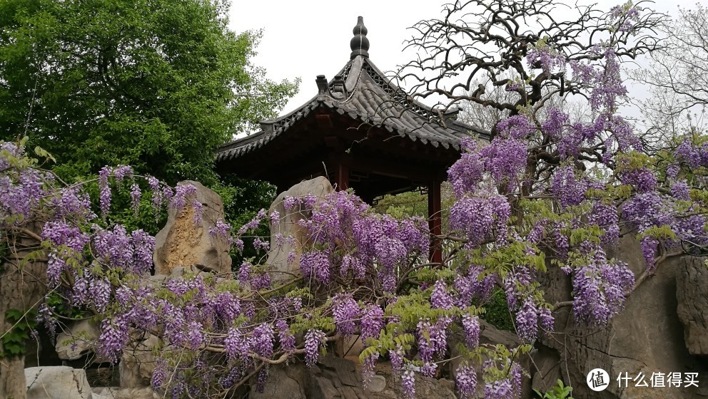 “一城山色半城湖”——济南护城河沿线一日游记