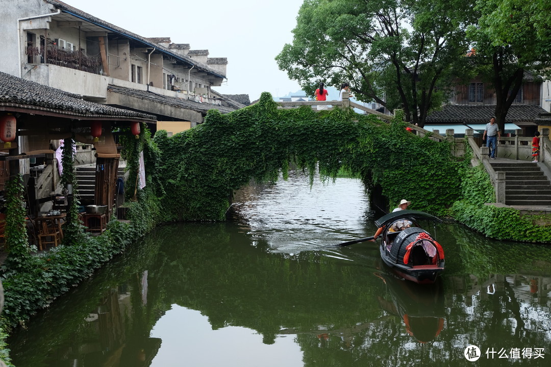 【绍兴安昌】长忆相见欢 浆声船影在江南