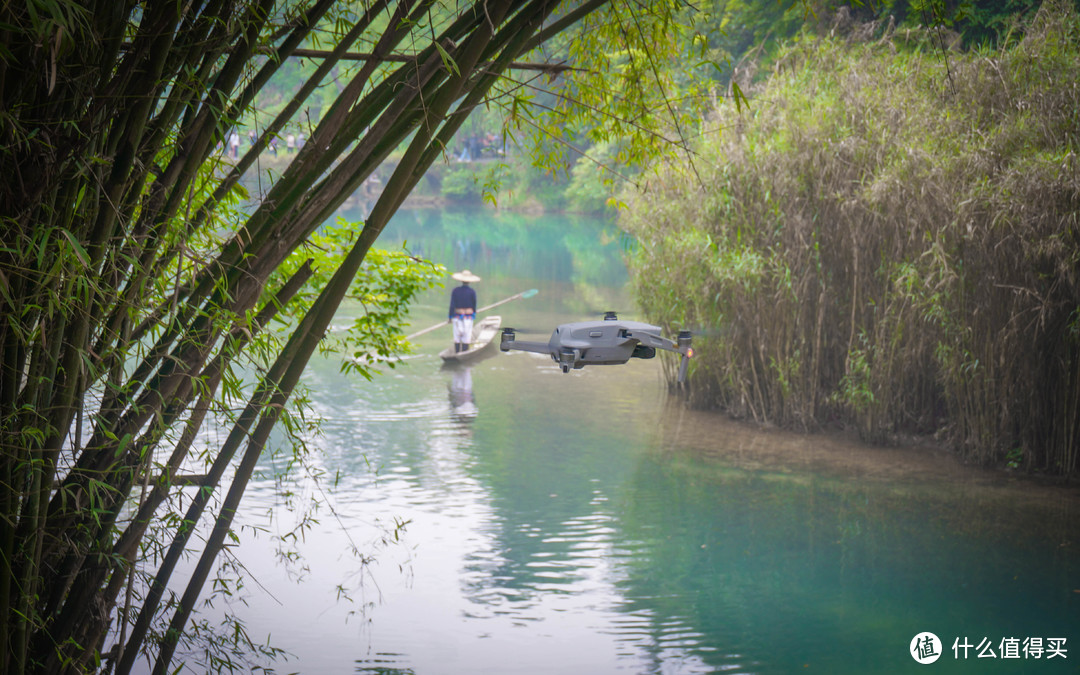 穿越竹林飞行