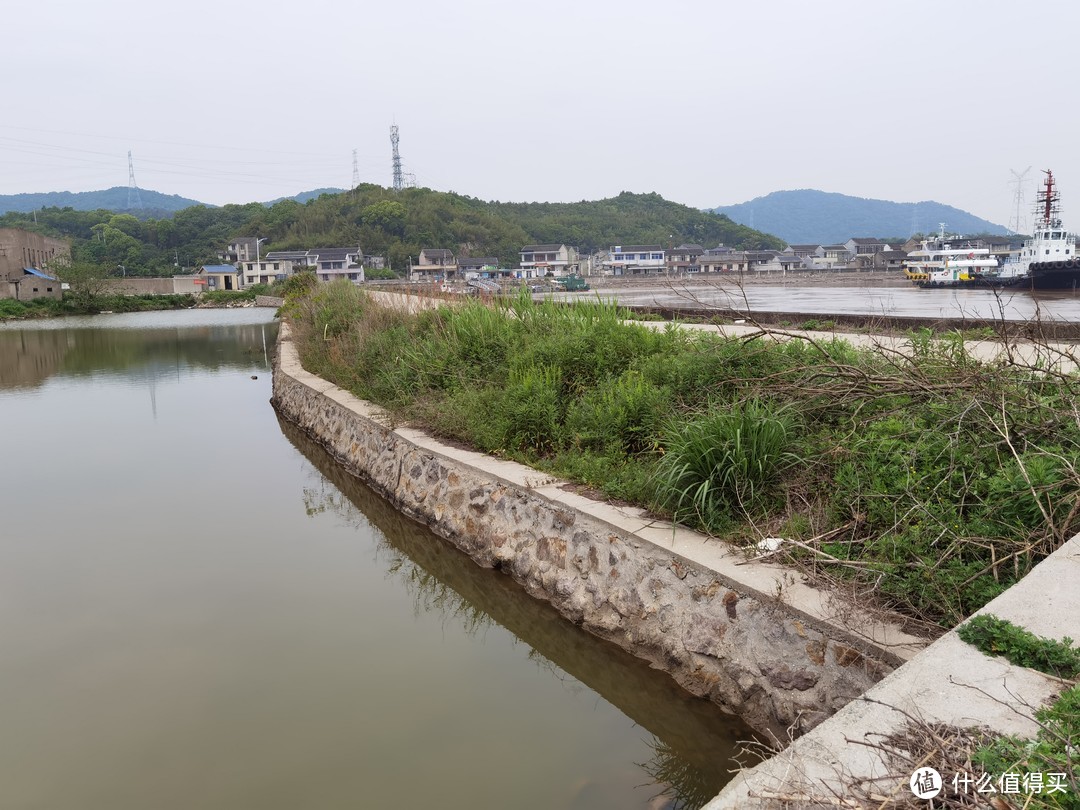 屋后的一池河海