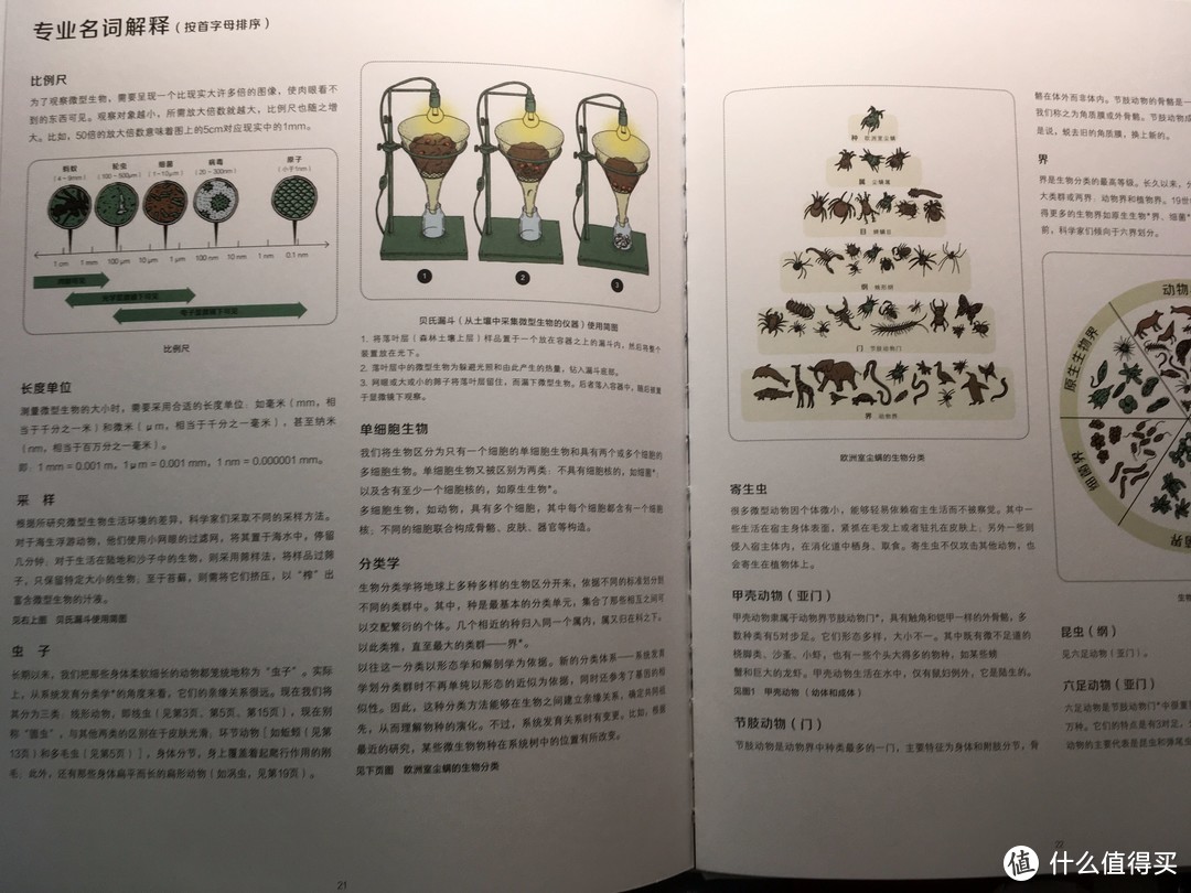 ​学好数理化，五一跟大象兴风作浪也不怕