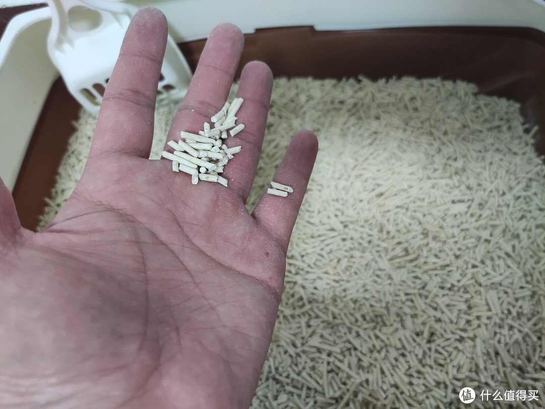 豆腐猫砂（这是一篇追味道的测评）