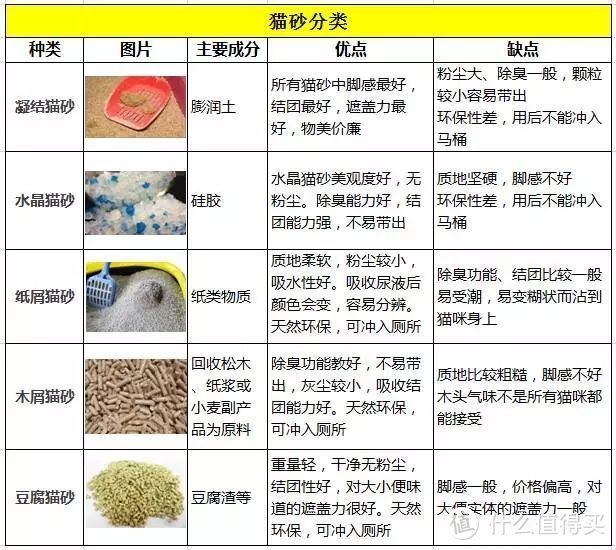 家有萌宠，亲身体验！聊聊那些年我用过好用的9款宠物用品（喵星人-英短篇）