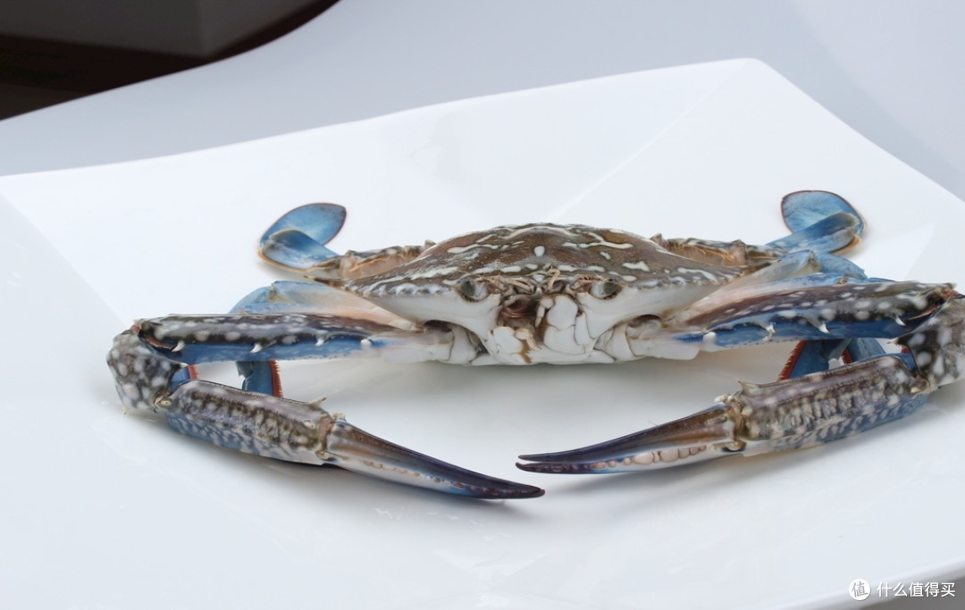 常见的螃蟹种类知多少