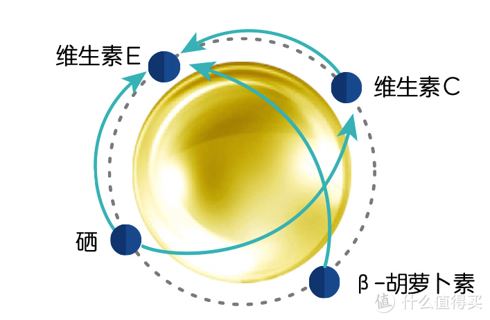 喵星人老了吃什么？中老年猫粮推荐榜