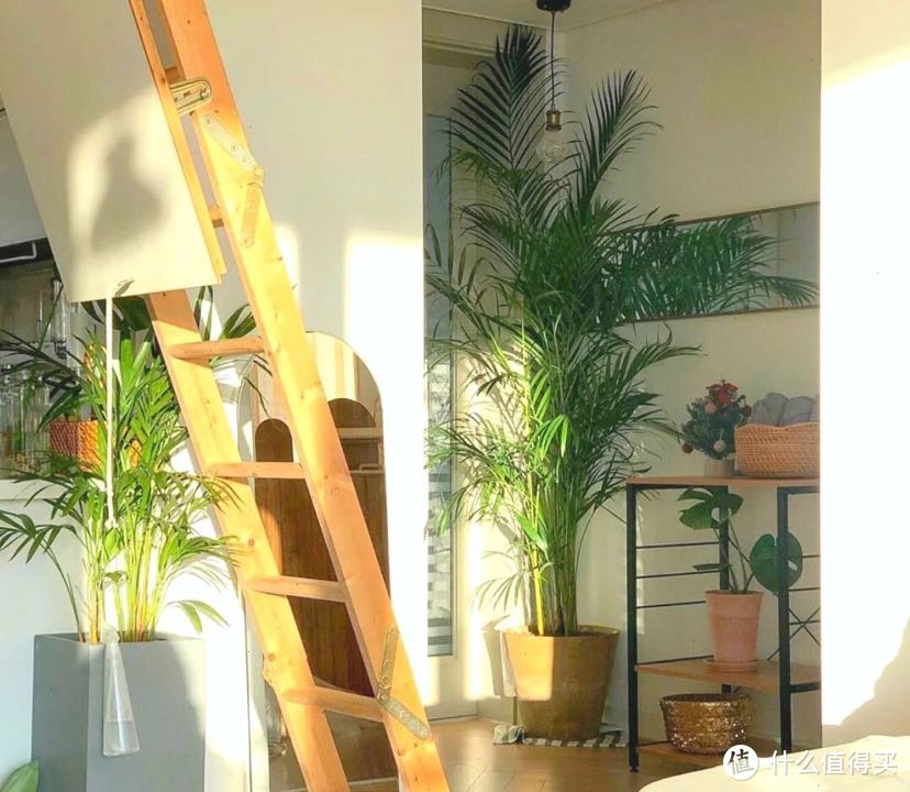 动漫风色调的房子🏠阳光☀️明媚的卧室