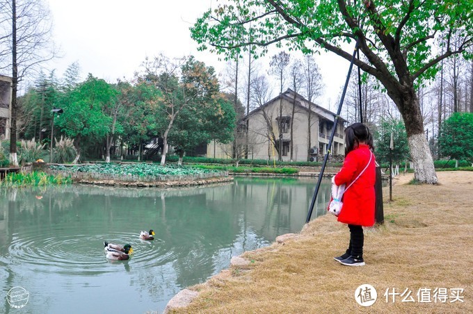 还有，从建筑风格上来说，打造的完美的村庄模式，让我们感觉是去住“外婆家”，「舒心」。