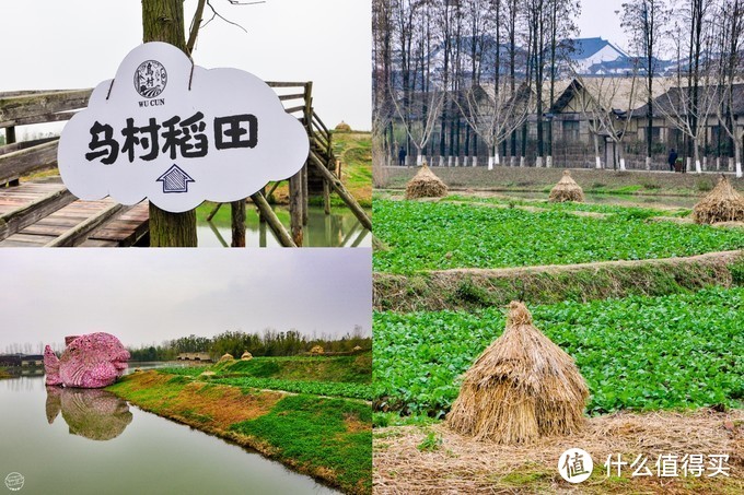 还有一片原始的稻田。虽然我从小的乡下长大，@小砖妹33基本在城市长大，离着玩泥巴的日子也非常遥远。正好在这个时候，可以看看原始的村落。