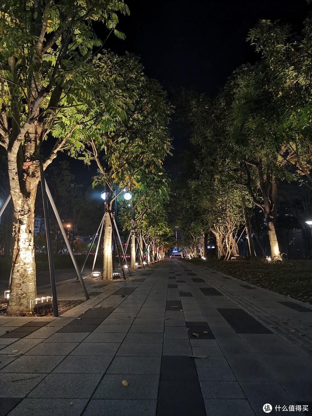 夜徒深圳银湖山，翻越中领略一座城市的灯火