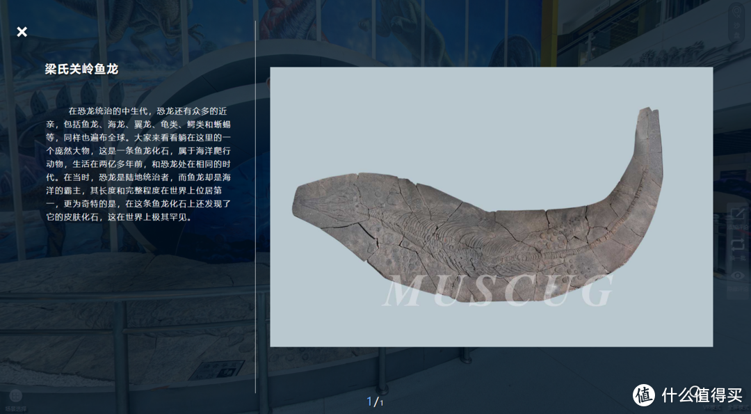 身未动，心已远。十座值得一看的线上博物馆——（一）中国地质大学博物馆