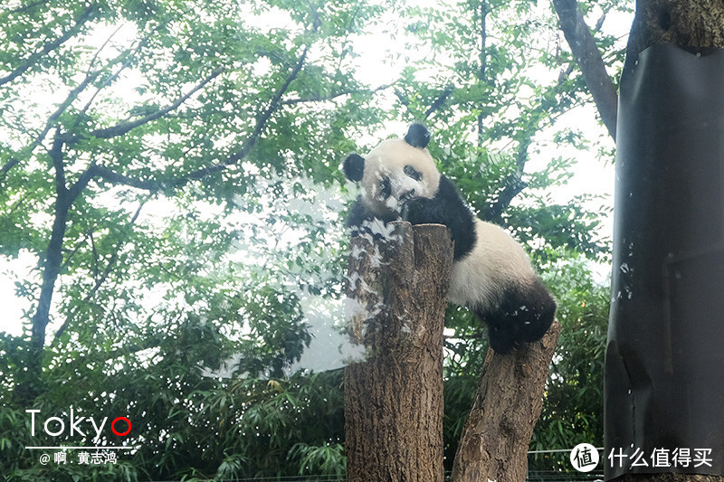 香香，生日快乐。