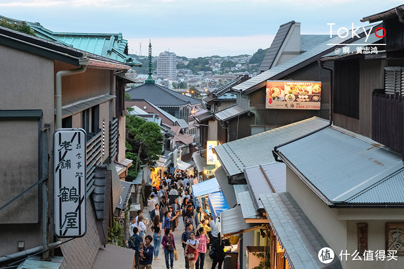 从山顶俯瞰整个江之岛