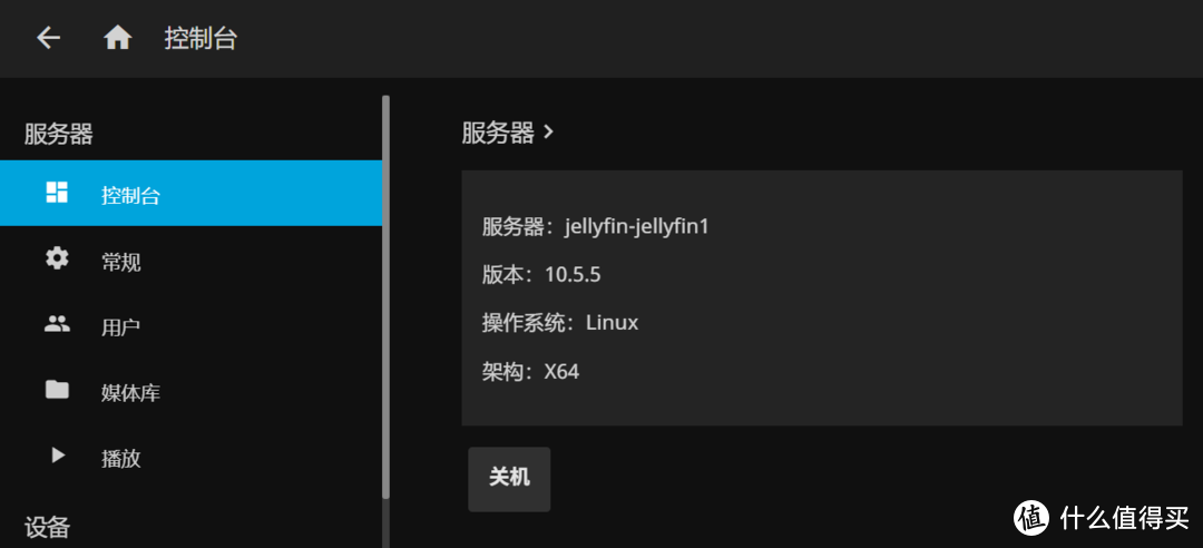 在jellyfin10.5.5中解决ASS字幕无法正常显示的问题