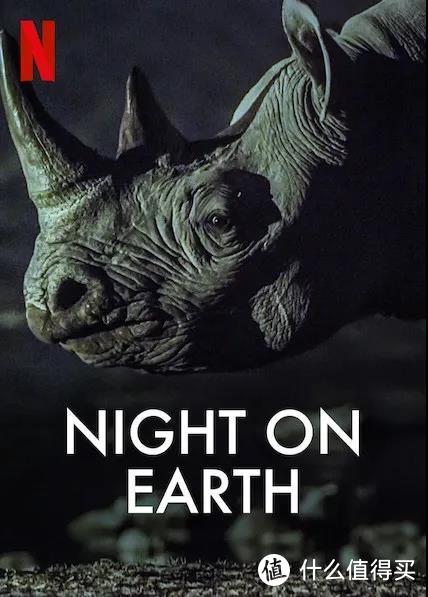 喜欢动物的朋友们不能错过这部纪录片，看夜幕下的动物世界