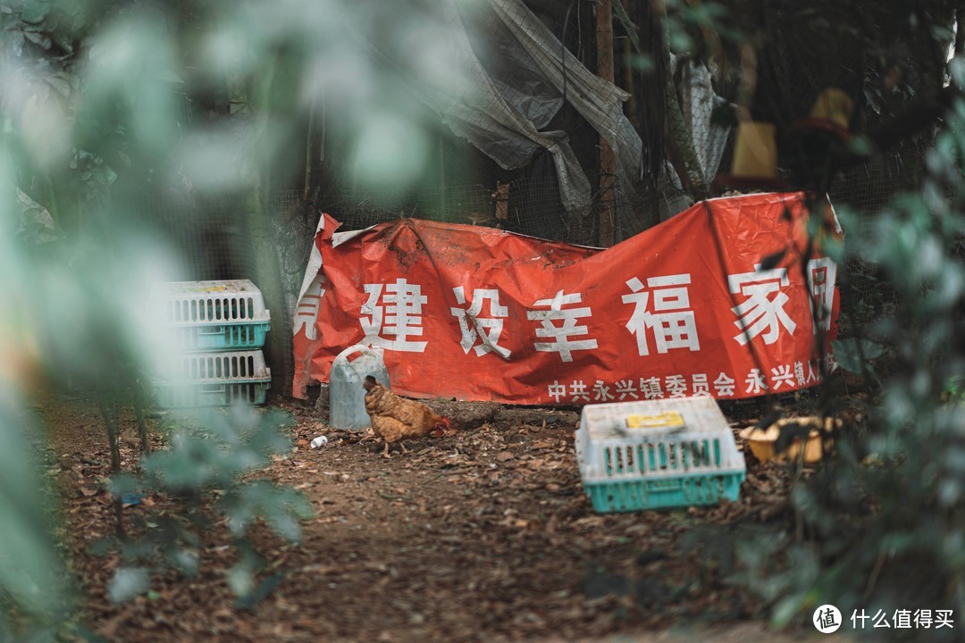 邂逅古老村落-美梅村