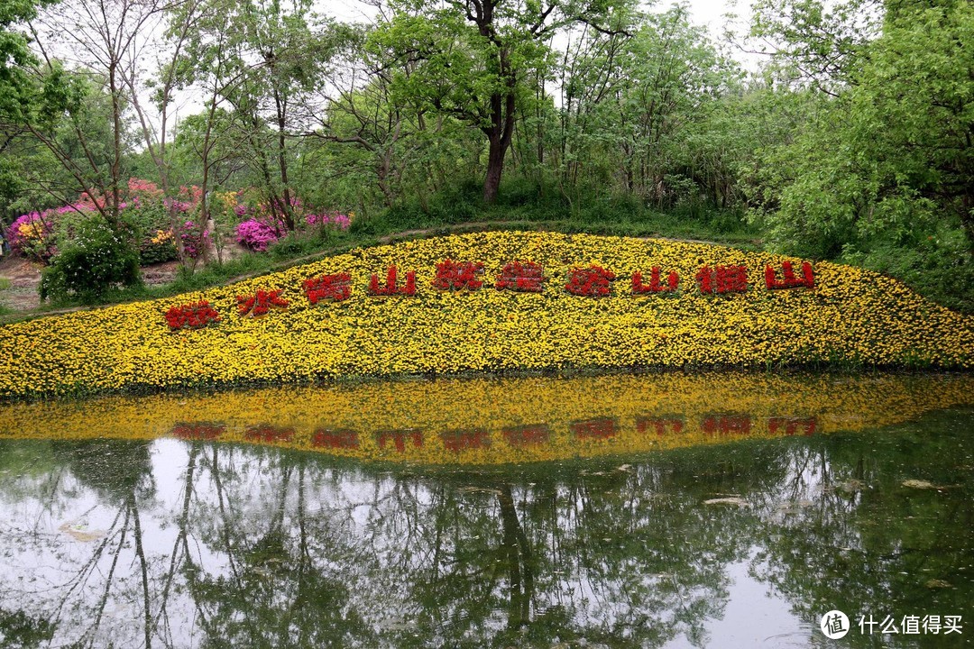 杭州西溪花朝节，让春天“玩出花儿”