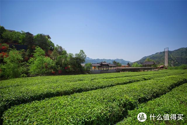 武汉观日出独一无二的地方，前身是古兵寨，一年四季景不同