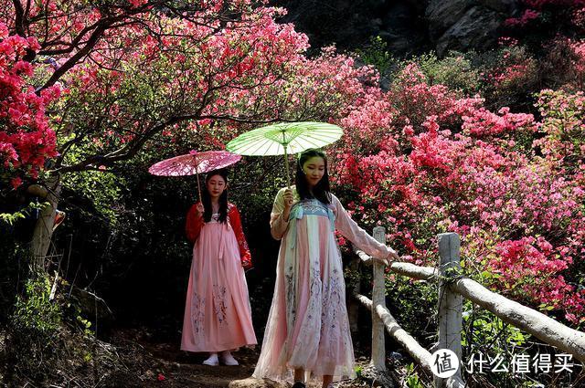 映山红覆盖整座山，汉服美女和花斗，花木兰的家乡