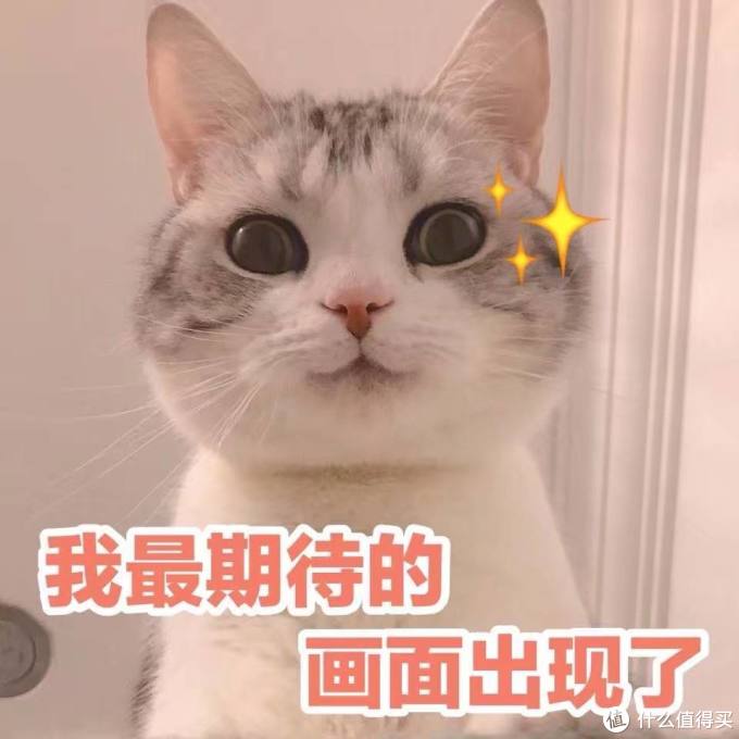 618强力推荐!年年剁手必囤的清洁好物,均价百元让家干净如新~